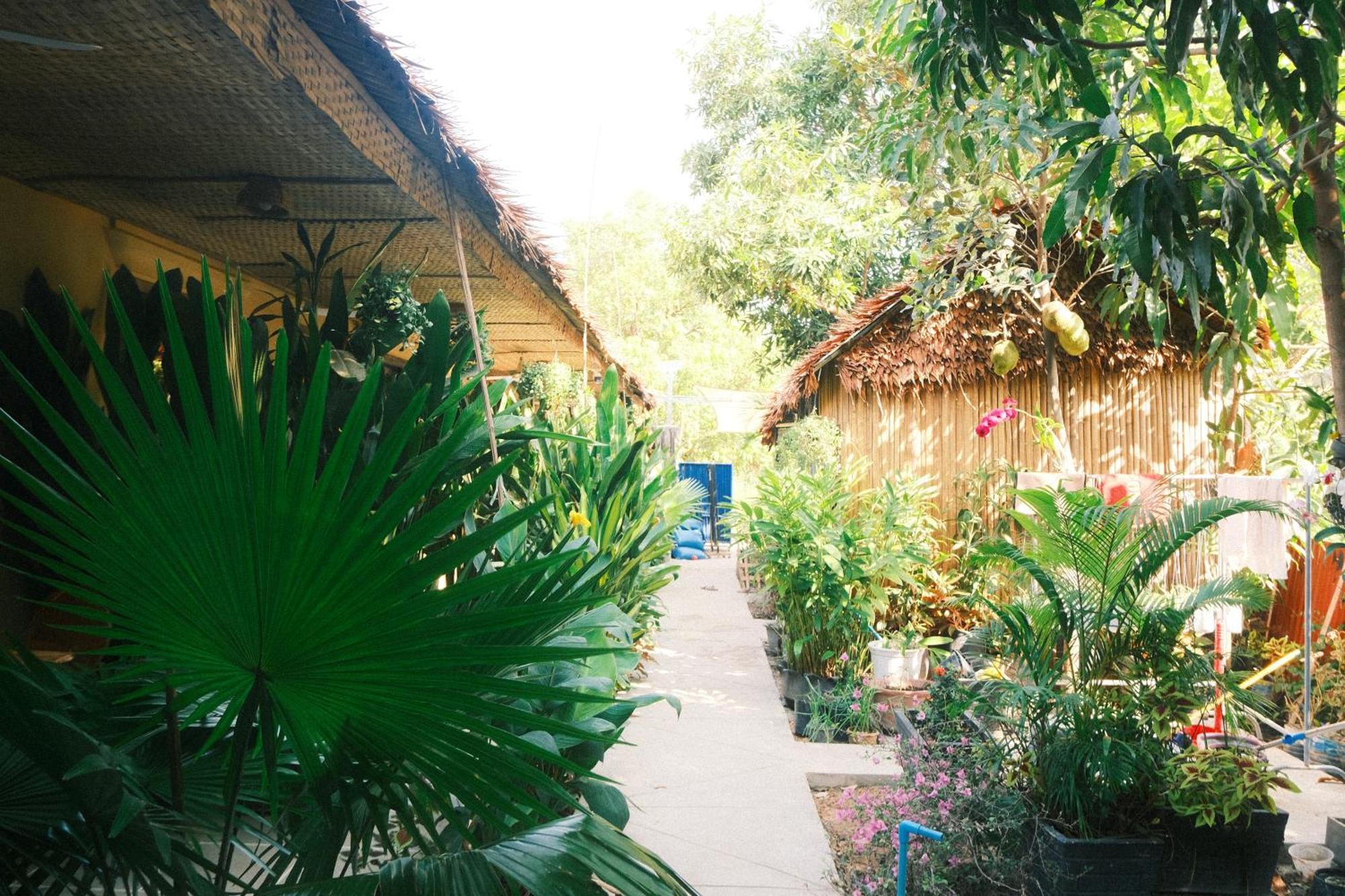 Siem Reap Homesteading Exterior photo